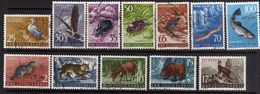 TRIESTE B 1954 FAUNA ANIMALS ANIMALI ANIMAUX SERIE COMPLETA COMPLETE SET USATA USED OBLITERE' - Gebraucht