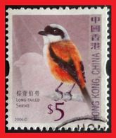 110. HONG KONG,CHINA ($5) 2006 USED STAMP BIRDS (LONG TAILED SHRIKE) . - Oblitérés