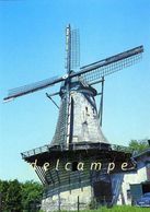 ERMELO (Gelderland) - Molen/moulin - Historische Opname Uit 1968 Van Molen 'De Koe' Vóór De Brand En Herbouw - Ermelo