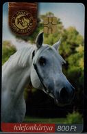 HUNGARY 2005 PHONECARD HORSES USED VF!! - Pferde