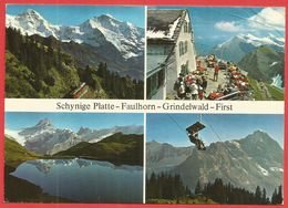 Schynige Platte - Faulhorn - Grindelwald - First - BE Berne