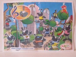 KINDER SURPRISE 2005/2006 : BPZ N° S 21 - Notices