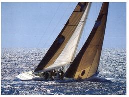 (D 13) Australia - WA - Yacht Race - Australia II - Voile