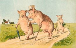 Cochons Humanisés * Illustrateur * CPA Dos 1900 * Thème Cochon Pig - Varkens