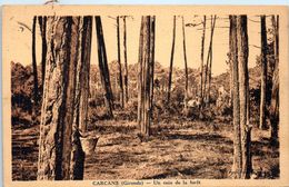 33 CARCANS - Un Coin De La Forêt - Résine     * - Carcans