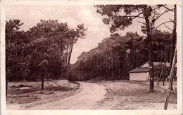 33 CARCANS - Plage - Maison Forestière Et Route Vers L'Océan      * - Carcans