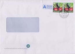 Liechtenstein Postmark - Envelope Liechtenschteinisches Landesmuseum - Mi 1889 Vegetables - Radish - Franking Machines (EMA)
