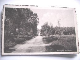 Nederland Holland Pays Bas Amerongen Met Boschlaan Leuk - Amerongen