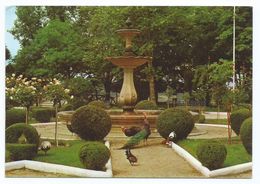 PARQUE ROSALIA DE CASTRO.- LUGO.- ( ESPAÑA) - Lugo