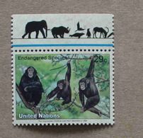 NY94-01 : Nations-Unies (New-York) / Protection De La Nature - Pan Troglodytes (Chimpanzé) - Unused Stamps