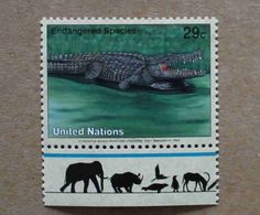 NY94-01 : Nations-Unies (New-York) / Protection De La Nature - Crocodylus Acutus (crocodile Américain) - Unused Stamps