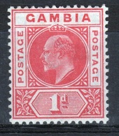 Gambia Edward VII Definitive 1d Stamp From 1904. - Gambia (...-1964)