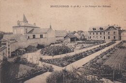 MOULIGNON  (77) Le Potager Du Château - Saint Fargeau Ponthierry
