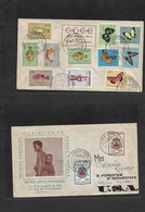 Portugal-Mozambique. 1955 (3 March) Beira - USA, NYC, Rodater. First Monica Sofala Exhibition. Multifkd Envelope + CC Me - Altri & Non Classificati