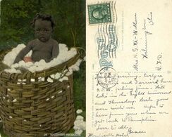 Black Americana, "Southern Products", Cotton (1916) C.T. Photochrom Postcard 39 - Black Americana