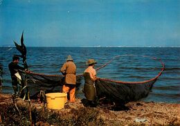 Marignane * Pêche Sur L'étang - Marignane