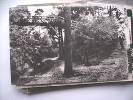 Nederland Holland Pays Bas Driebergen Met Zwitserse Brug In Bos - Driebergen – Rijsenburg