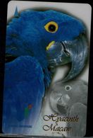 SINGAPORE 2000 PHONECARD PARROTS USED VF!! - Loros