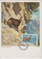 Bulgarie Carte Maximum 1958 Chamois 924 - Briefe U. Dokumente