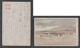 JAPAN WWII Military Horse Picture Postcard CENTRAL CHINA WW2 MANCHURIA CHINE MANDCHOUKOUO JAPON GIAPPONE - 1943-45 Shanghái & Nankín