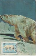 Bulgarie Carte Maximum 1966 Ours Blanc 1420 - Covers & Documents