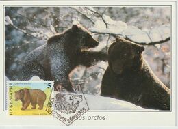 Bulgarie Carte Maximum 1988 Ours Brun 3205 - Storia Postale