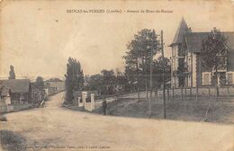 Brocas Les Forges      40      Avenue De Mont De Marsan  (voir Scan) - Otros & Sin Clasificación