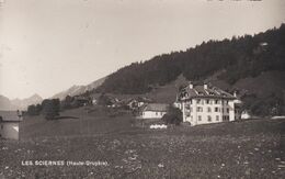 Les Sciernes D'Albeuve, Vue De Détail. Carte-photo - Albeuve