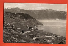 MOA-38 Lavaux La Corniche Et Signal De Chexbres. Circulé En 1954 Pour Damas Syrie - Chexbres