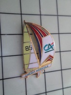 1520 Pin's Pins / Beau Et Rare / THEME : SPORTS / VOILE VATEAU REGATE VOILIER CREDIT AGRICOLE - Voile