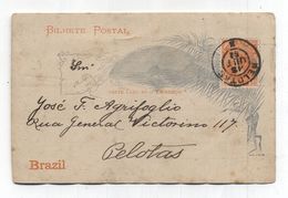 Brazil Pelotas LOCALLY SENT POSTAL CARD 1892 - Cartas & Documentos