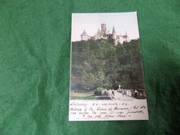 VINTAGE GERMANY: MARIENBURG  Schloss Tint 1904 - Marienberg