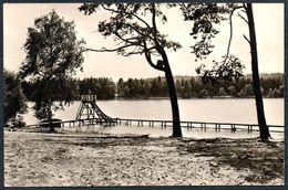 D8306 - Pinonierlager M.I. Kalinin Am Frauensee Bei Gräbendorf Badestrand Lagerfreundschaft II - Rotophot - Königs-Wusterhausen