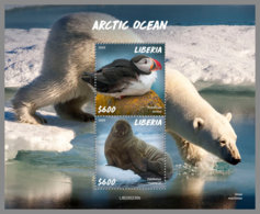 LIBERIA 2020 MNH Arctic Oceans Artische Tierwelt Océans Arctiques S/S - OFFICIAL ISSUE - DHQ2027 - Arctic Wildlife