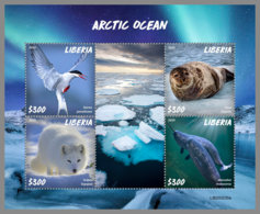 LIBERIA 2020 MNH Arctic Oceans Artische Tierwelt Océans Arctiques M/S - IMPERFORATED - DHQ2027 - Arctische Fauna