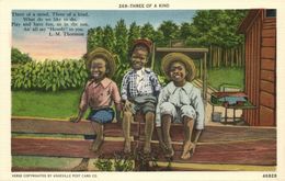 Black Americana, "Three Of A Kind" (1940s) Asheville 46828 Postcard - Black Americana