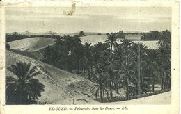 ( EL OUED )( ALGERIE ) PALMERAIES DANS LES DUNES - El-Oued