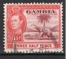 Gambia George VI 1938 1½d Definitive Stamp. - Gambia (...-1964)