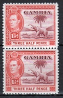 Gambia George VI 1938 A Pair Of 1½d Definitive Stamps. - Gambia (...-1964)