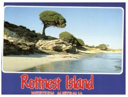 (D 26) Australia - WA - Rottnest Island - Perth