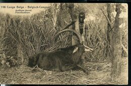 Carte Obl. Illustrée N° 62. Vue: 106. Antilope Cheval. Obl. BOMA 11/06/1924 Pour Stockel (Bxl) - Ganzsachen