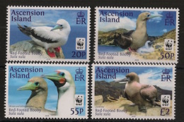 Ascension - 2016 - N°Yv. 1157 à 1160 - Red Footed Booby / Birds / WWF - Complete Set - Neuf Luxe ** / MNH / Postfrisch - Ascensión
