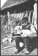 Nederland Holland Pays Bas Nunspeet Z/w Boer Schaap Hond 1960 - Nunspeet