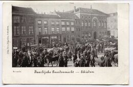 CPA - Carte Postale - Pays Bas - Schiedam - Faarlijsche Paardenmarkt (D13172) - Schiedam