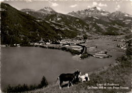 Lago Di Posciavo - Le Prese Con Pizzo Verona (8536) - Tinizong-Rona