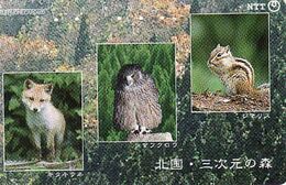 Japan, 105-431-811, Fox, Bird, Eagles & Birds Of Prey,  Fauna, Animal - Arenden & Roofvogels