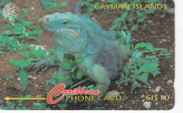 ILES CAYMAN Lot1 - Cayman Islands