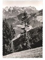 Österreich - Blick Vom Markbachjoch - Wildschönau Tirol - Wildschönau