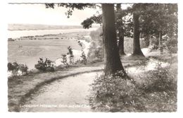 Deutschland - Hitzacker - Blick Auf Die Elbe - Hitzacker