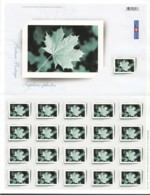 2004  Picture Postage - Picture Frame   MNH Sheet Of 21    Sc 2064 ** - Fogli Completi